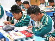 2026年强基计划大幅扩招