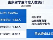 山东留学生一年出国人数？